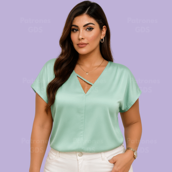 Blusa manga enteriza escote V 2081